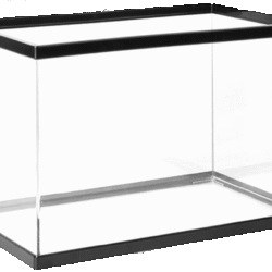TERRARIO DE CRISTAL JR