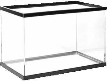 TERRARIO DE CRISTAL JR